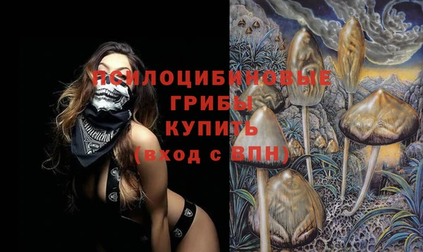 mdma Бородино